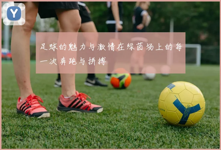 足球的魅力与激情在绿茵场上的每一次奔跑与拼搏