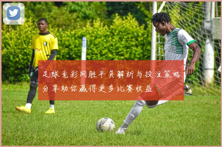 足球竞彩网胜平负解析与投注策略分享助你赢得更多比赛收益