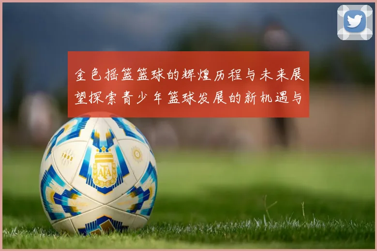 金色摇篮篮球的辉煌历程与未来展望探索青少年篮球发展的新机遇与挑战