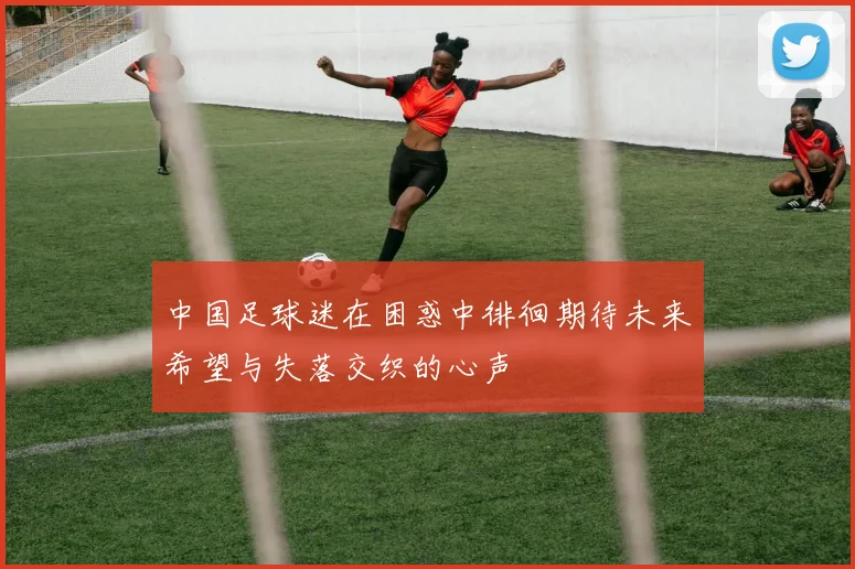 中国足球迷在困惑中徘徊期待未来希望与失落交织的心声