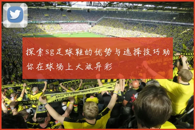 探索sg足球鞋的优势与选择技巧助你在球场上大放异彩