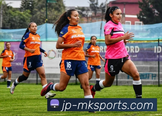 MK体育品牌故事