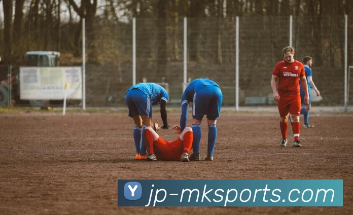 MK体育服务体系